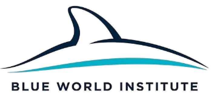 Blue Word Institute
